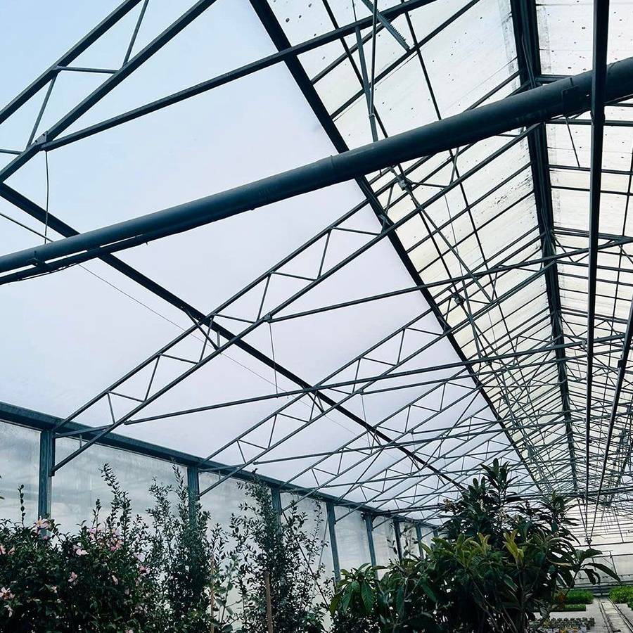 Arched roof trusses and purlins seen from inside the bay