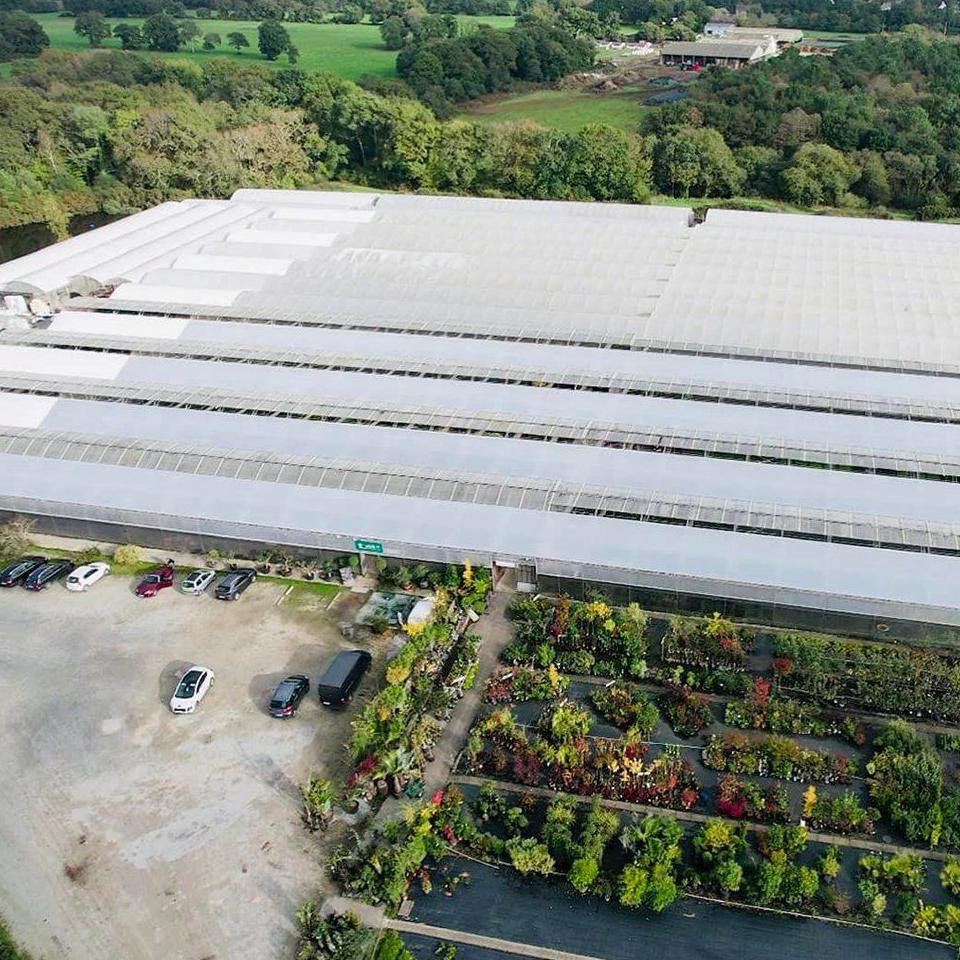 Ecological Film Greenhouse with Smart Climate Control for Flower Growers