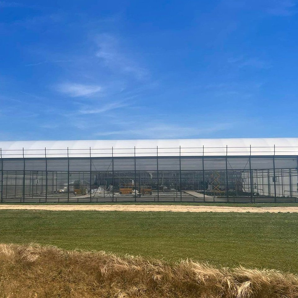 Multi span film greenhouse standing beside a field of crops