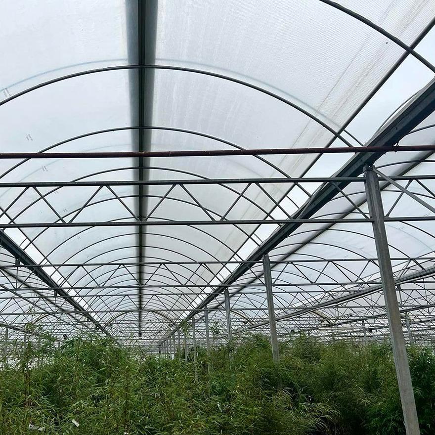 Arched steel frame and purlins seen from inside a multi span bay