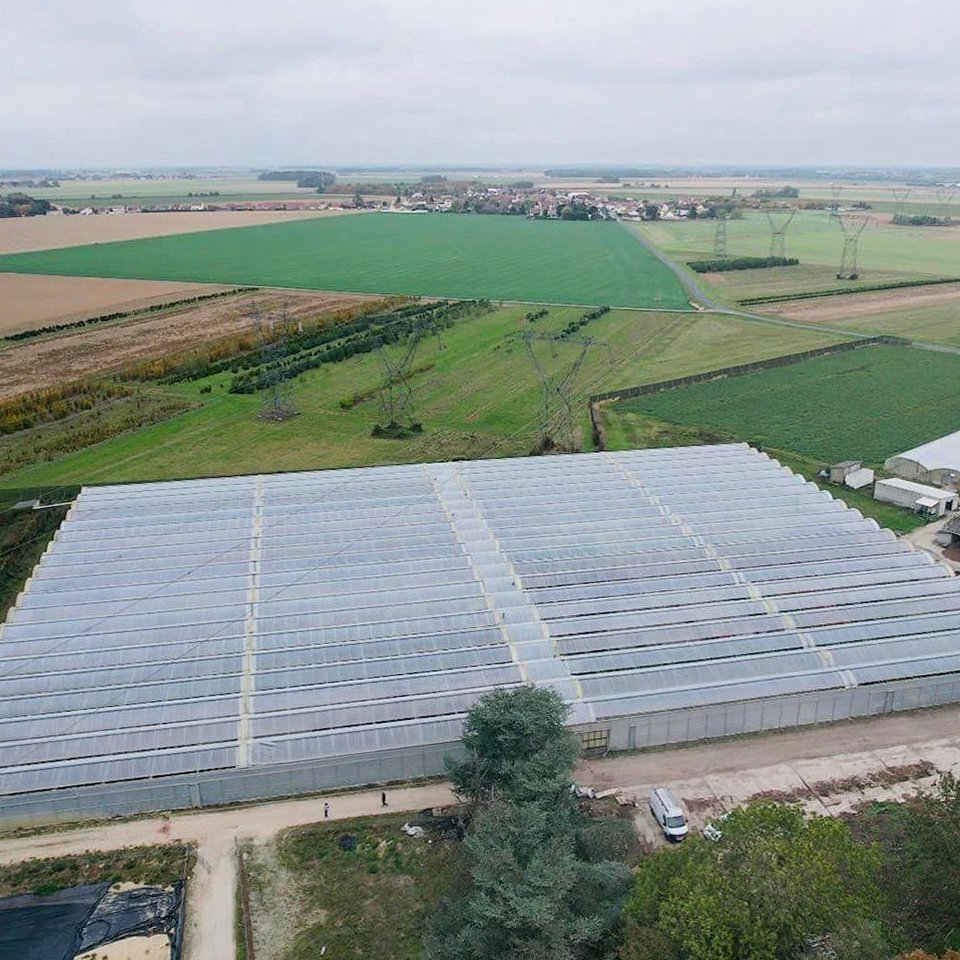 Energy Efficient Multi Span Greenhouse with PO Film for Commercial Farms