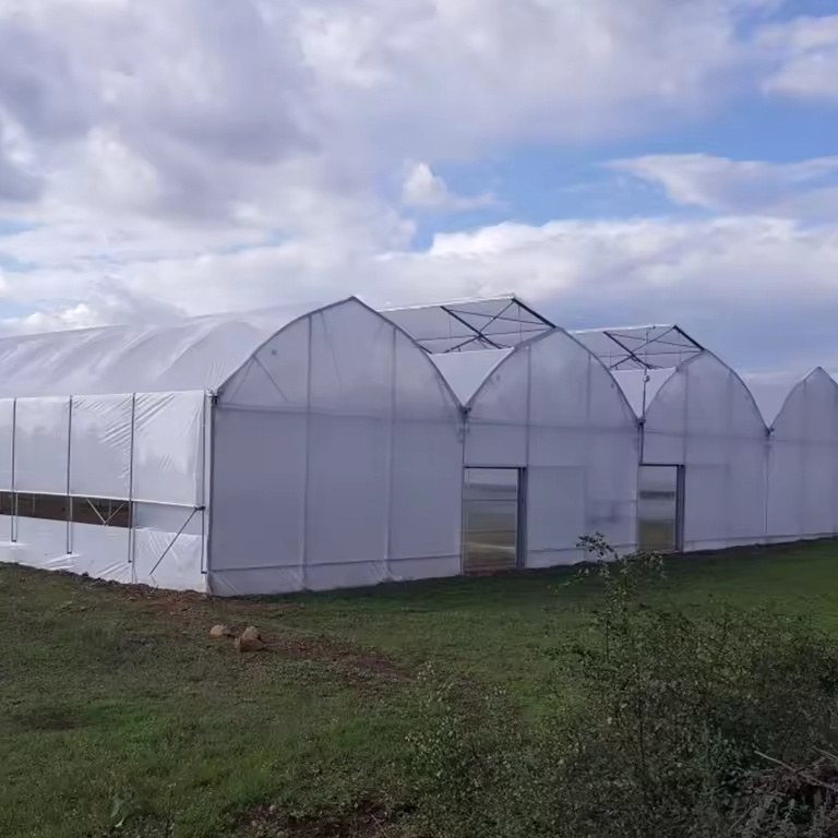 Gable end and entrance doors of a film greenhouse range