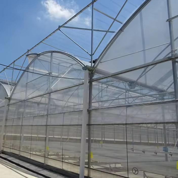 Side wall and film cover of an arched multi span greenhouse