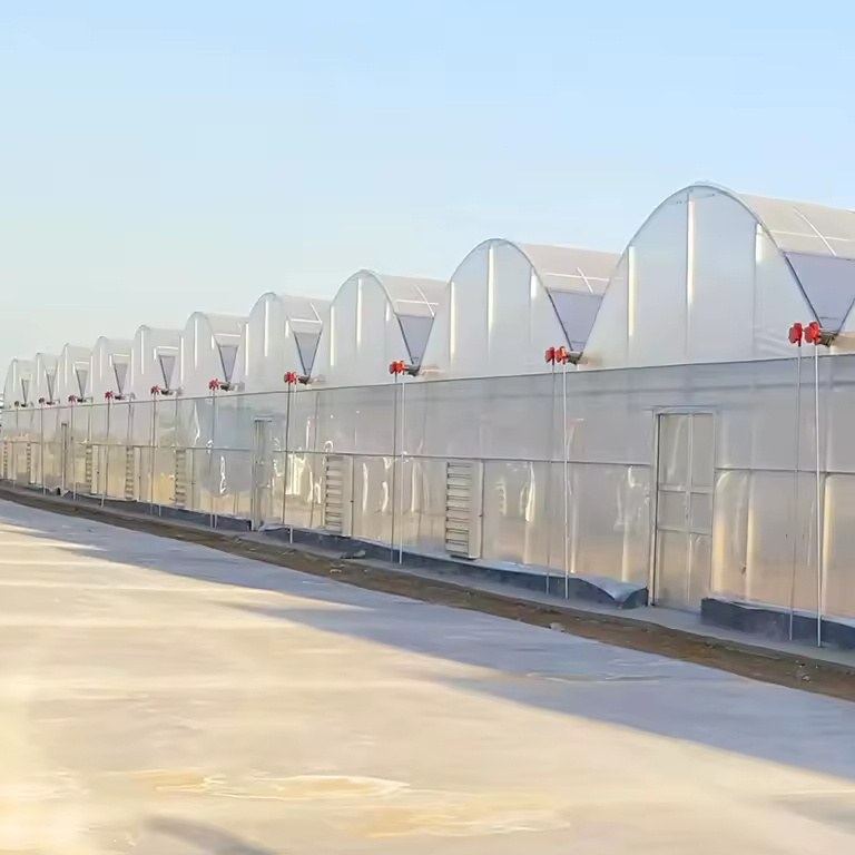 Energy Saving Multi Span Film Greenhouse with Double Layer Cover for Farms
