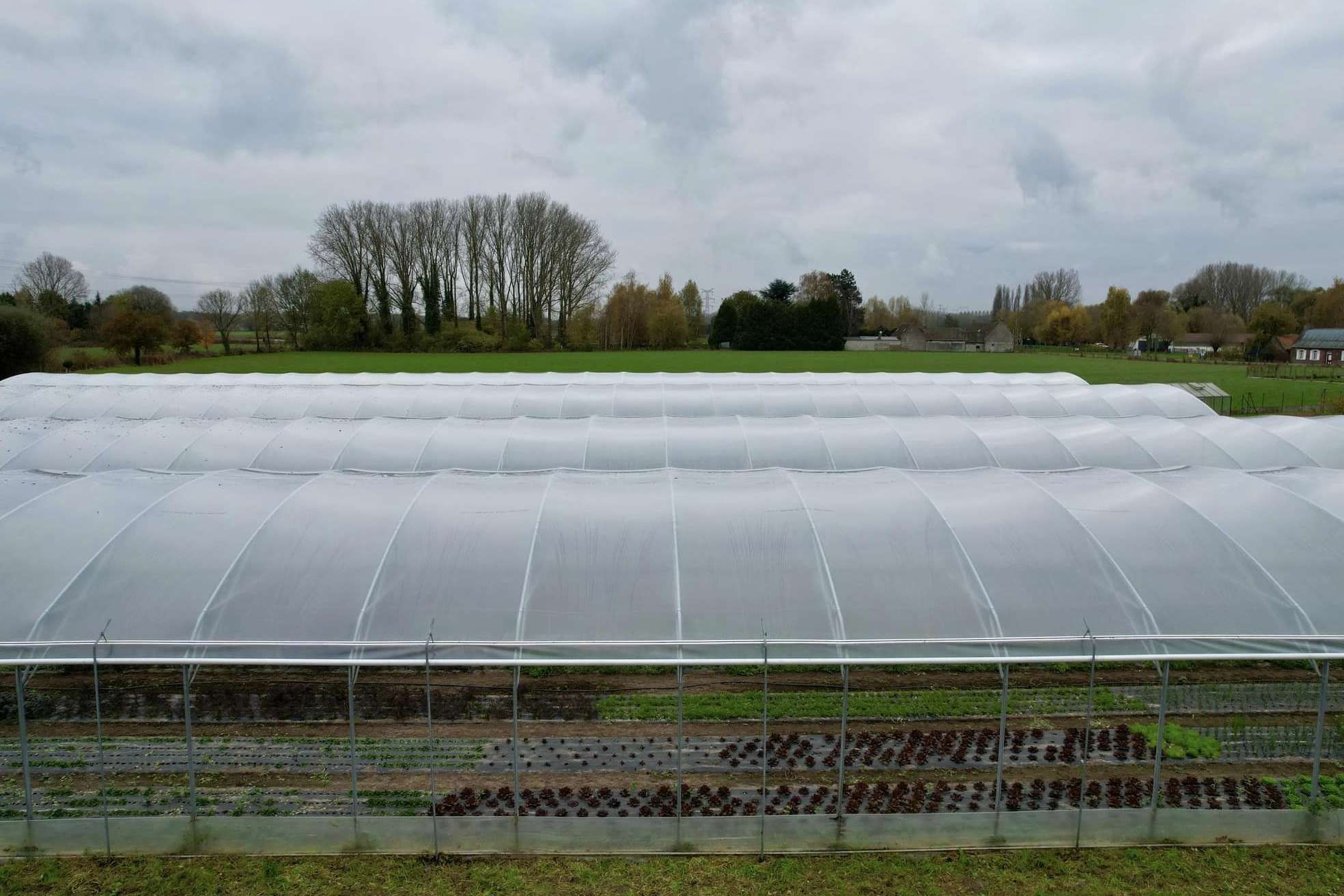 A block of multi span film greenhouses standing in a field