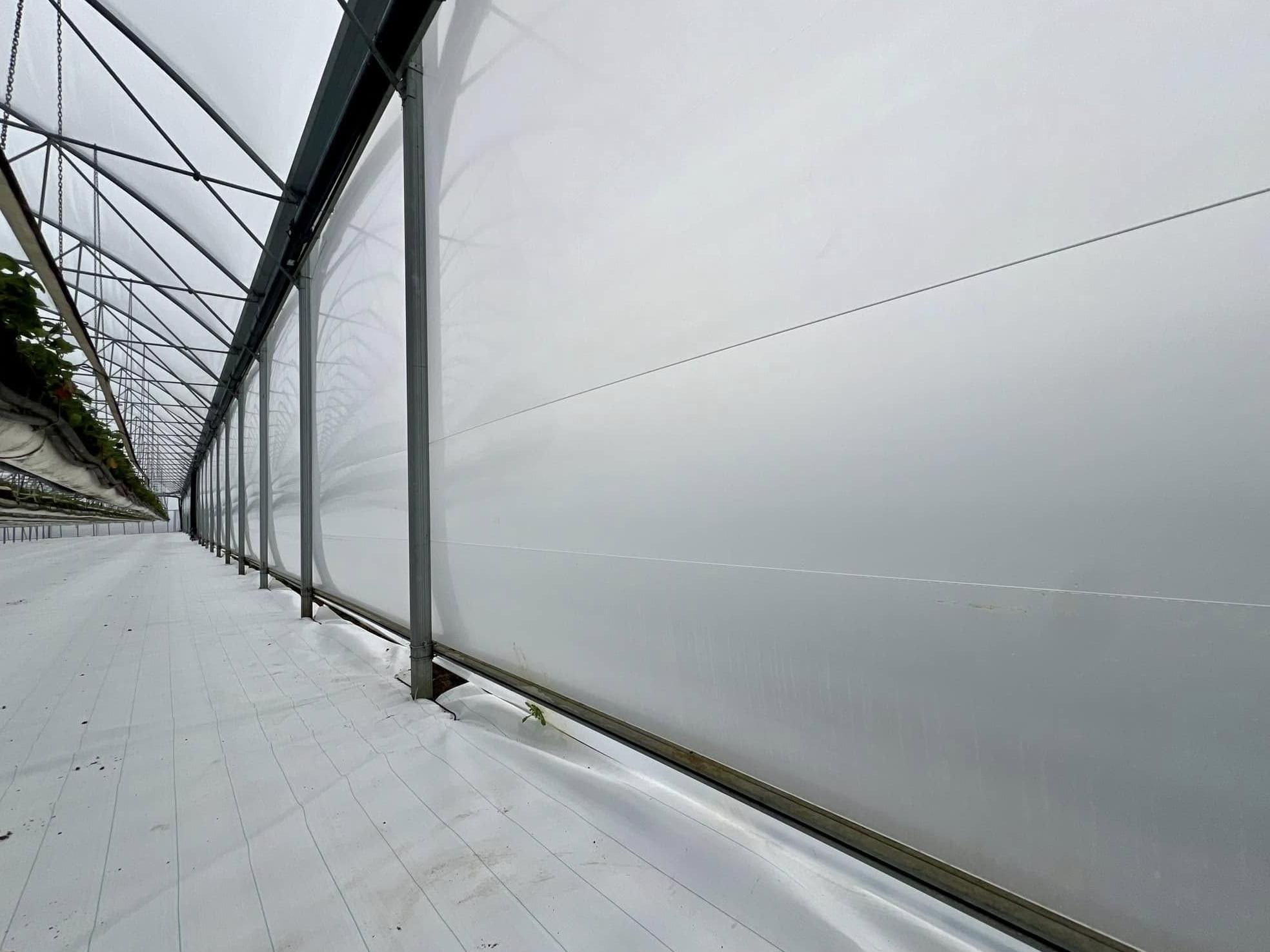 Interior wall and steel frame of a film covered greenhouse