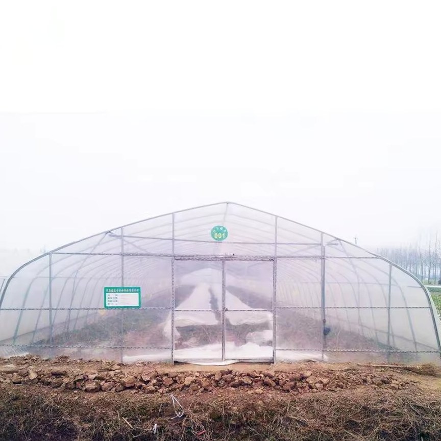 Tunnel greenhouse with the door open onto a field track