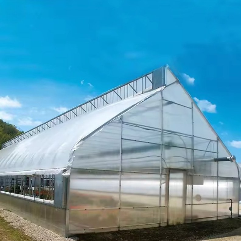 Semi transparent tunnel greenhouse standing under a clear sky