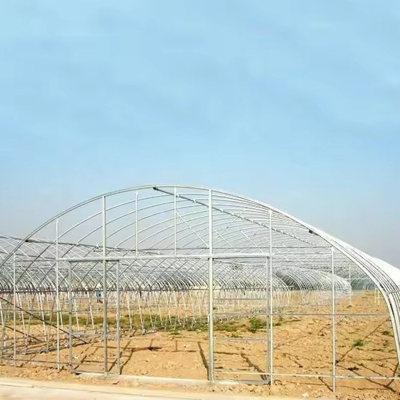Bare galvanized hoops and purlins of a tunnel house before covering