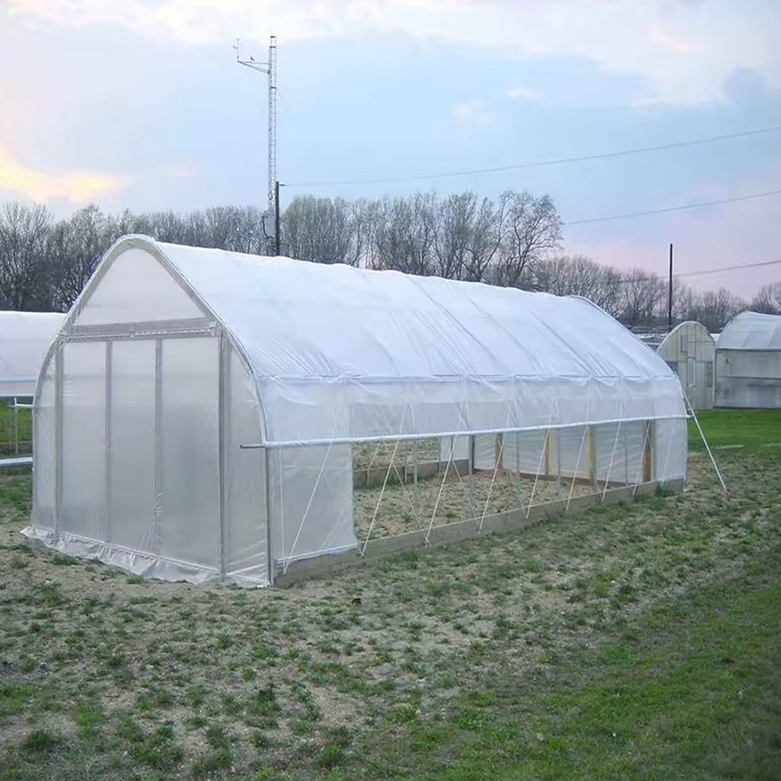 Galvanized Tunnel Greenhouse with Double Layer Film for Vegetable Farms