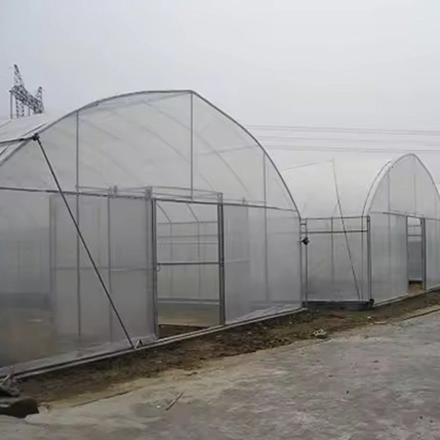 Gable end and entrance of a galvanized steel tunnel greenhouse