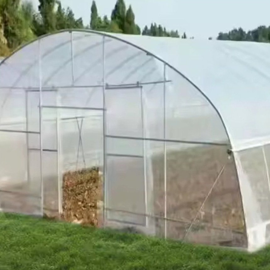 Side wall and film cover of a single span tunnel greenhouse
