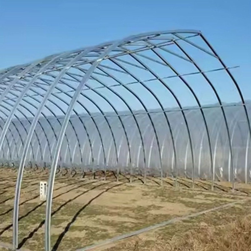 Bare galvanized steel hoops and purlins of a tunnel house
