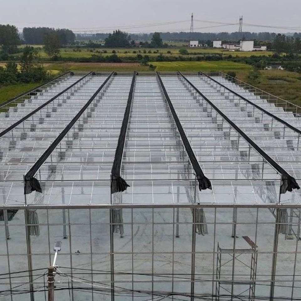 Aerial view of a large glass greenhouse range across an open site