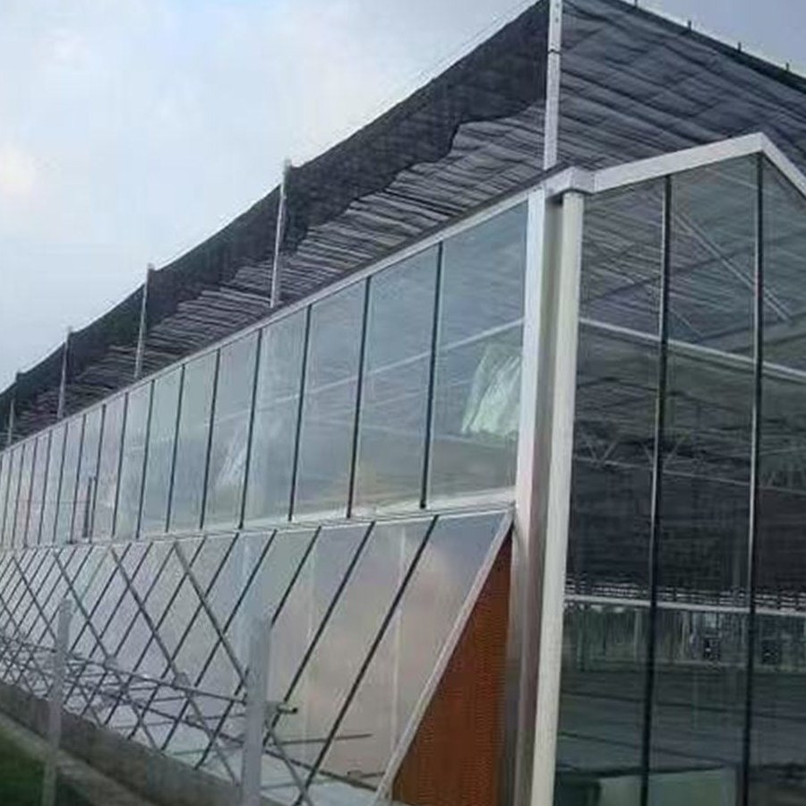 Glazed wall of a commercial glass greenhouse reflecting the sky