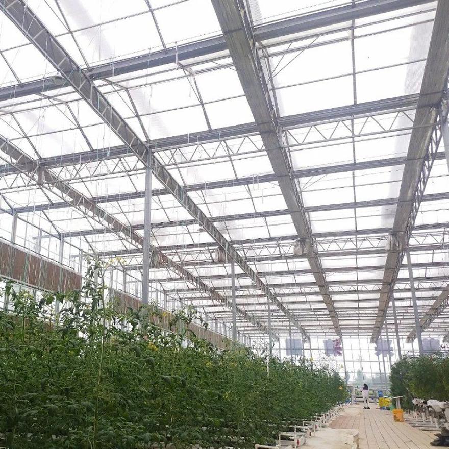 Growing benches and crop rows under the glass roof of a large house