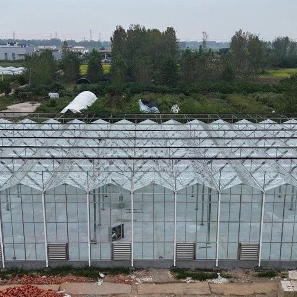 Exterior view of a large multi-span glass greenhouse with cooling pad wall panels