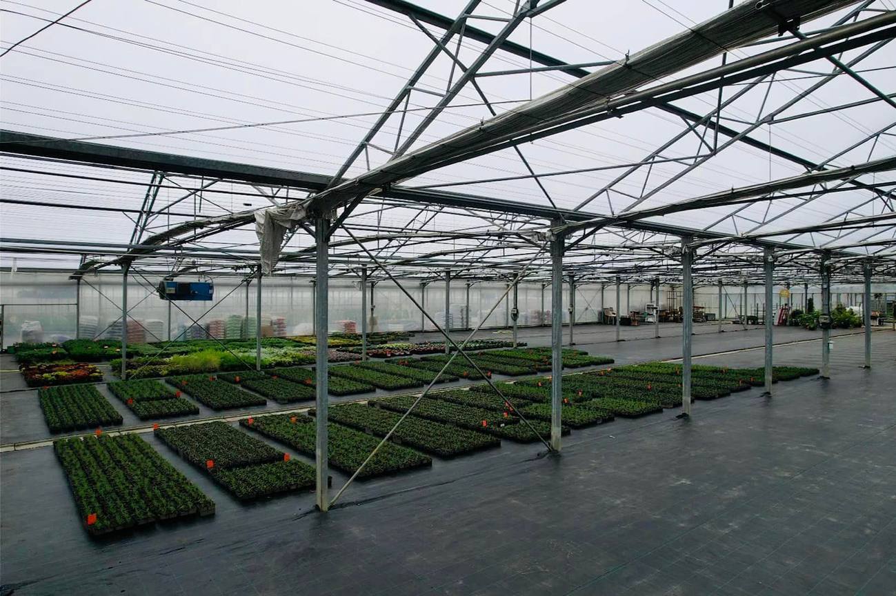 Industrial Smart Glass Greenhouse with Multi-Zone Climate Control