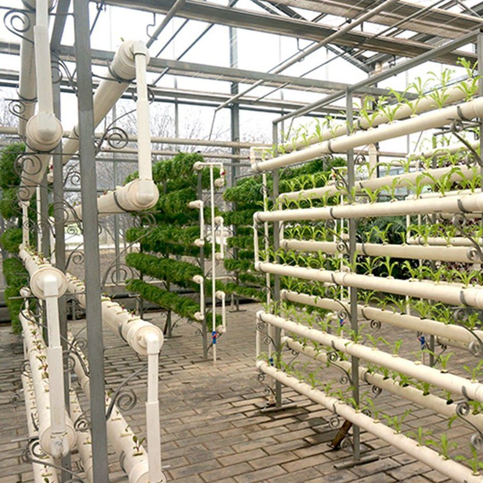 Hydroponic growing tubes and support frame inside a smart glass greenhouse