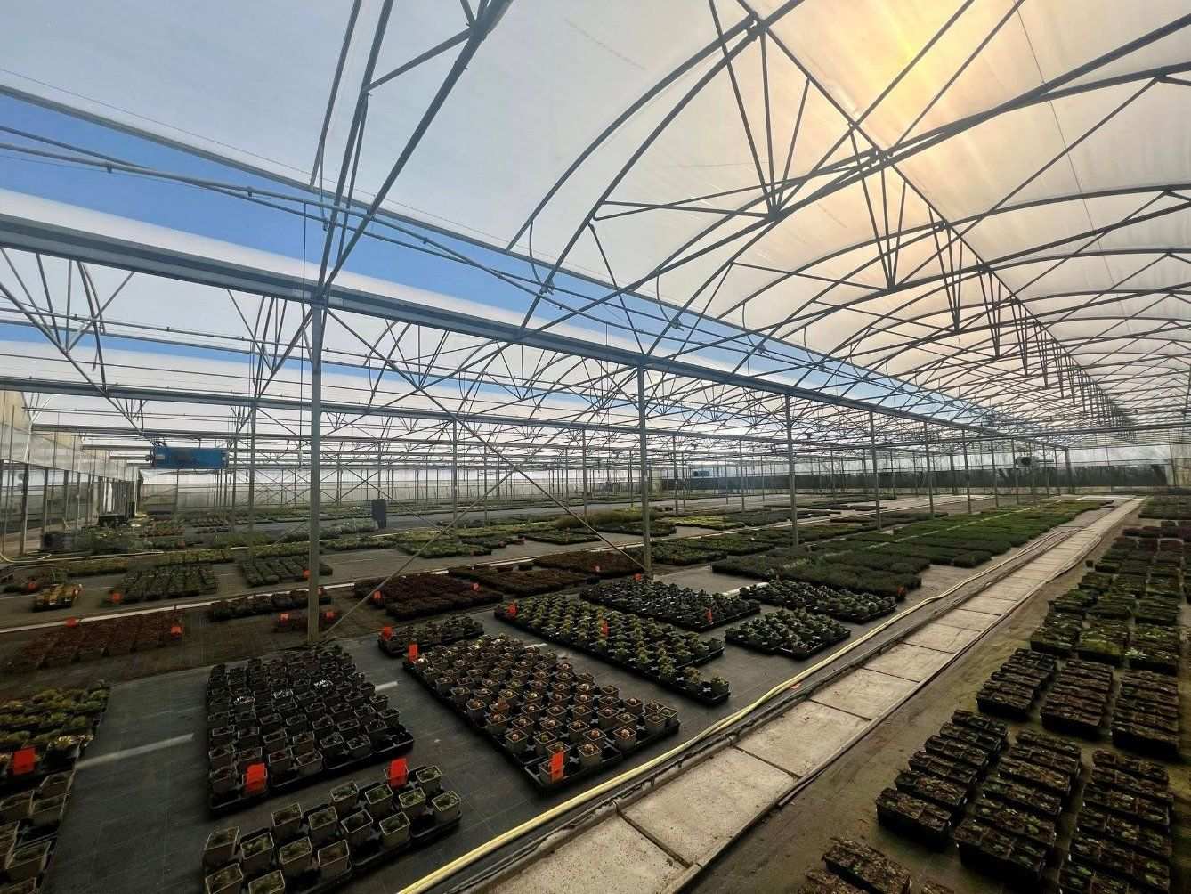 Cloud Connected Glass Greenhouse with 92% Light Transmission for Farms