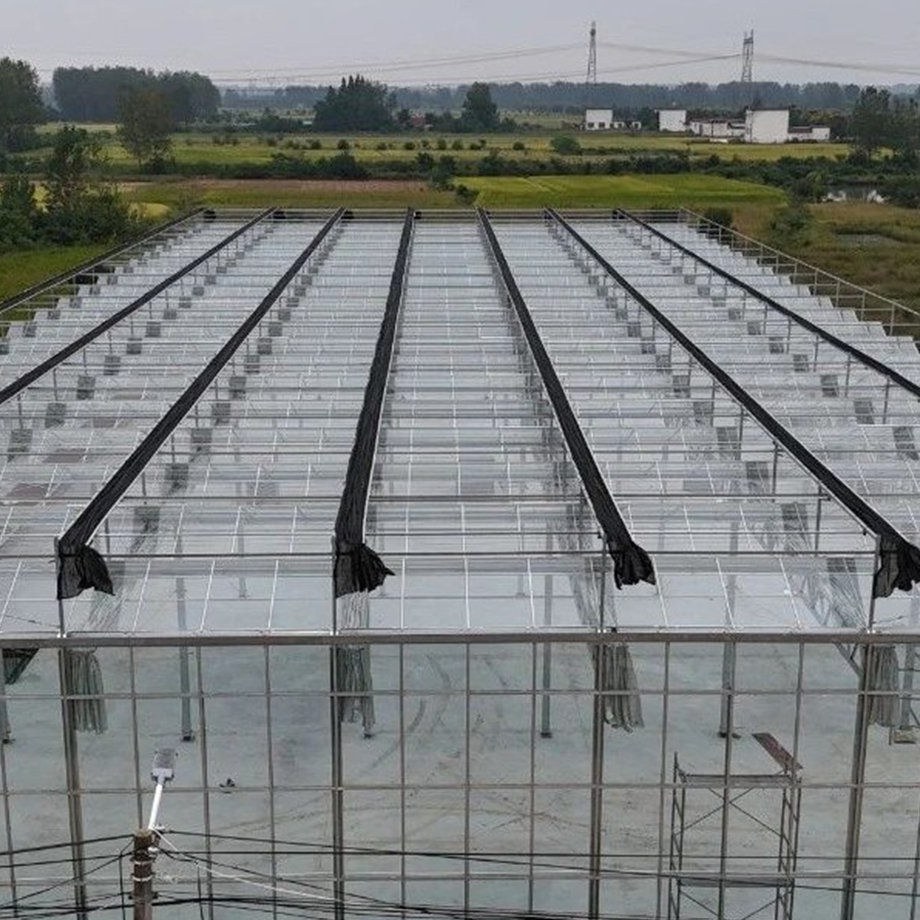 Multi-span glass greenhouse roof with gutters where warm air collects below the ridge