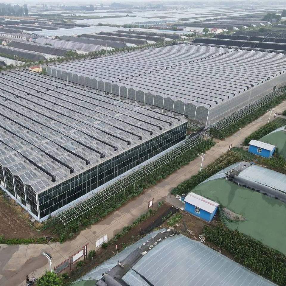Energy Saving Smart Glass Greenhouse with Heat Recovery System