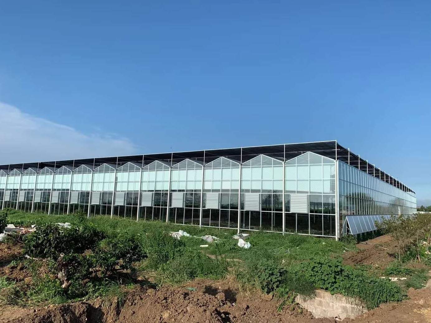 Range of Venlo glass greenhouses on a commercial growing site under a blue sky
