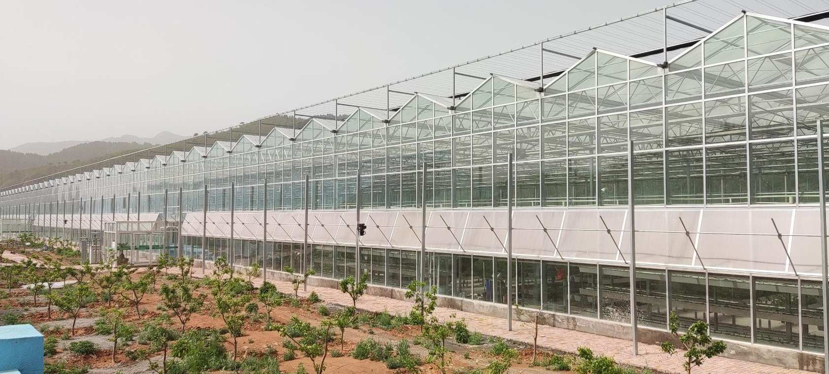 Glass greenhouse range on a hillside site under a cloudy sky