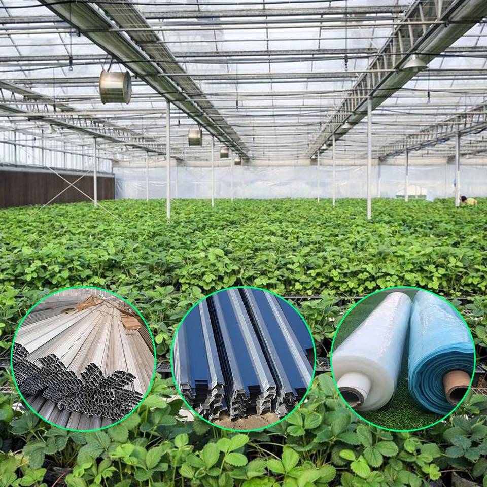 Crops growing in water beds inside a multi span glass greenhouse