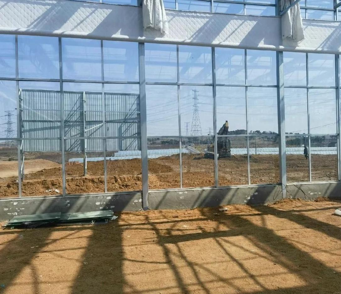 Interior of a glass greenhouse showing glazing bars and the gutter connected frame