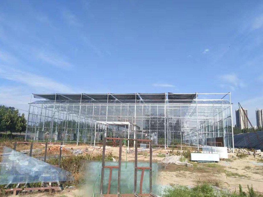 Exterior of a glass greenhouse under construction on a commercial site