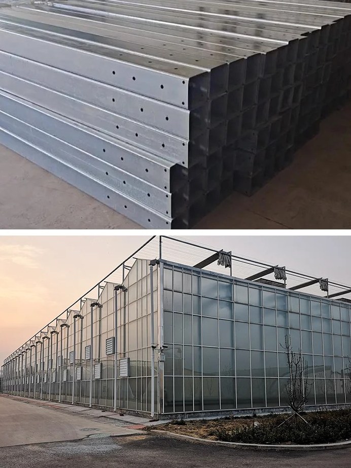 Stacked acrylic greenhouse panels with a glazed greenhouse range behind them