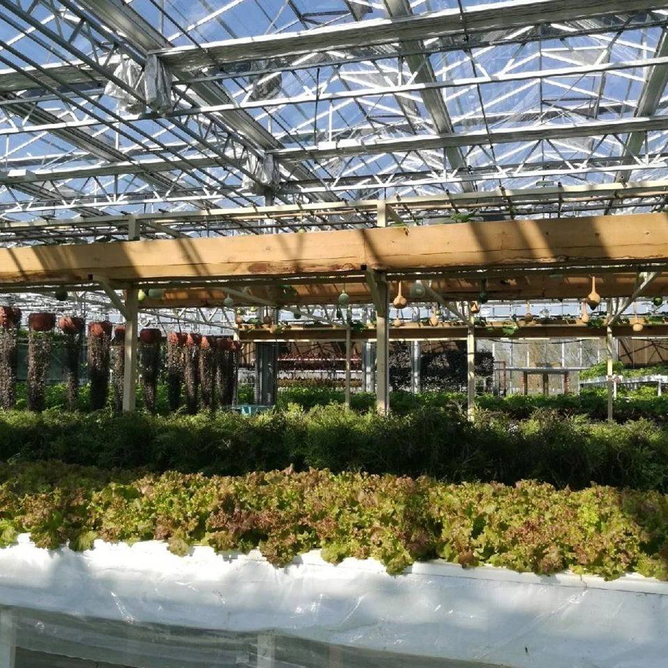 Retractable shade screen and benches under a glass roof