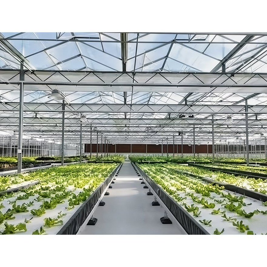 Propagation benches and walkways inside a glass greenhouse