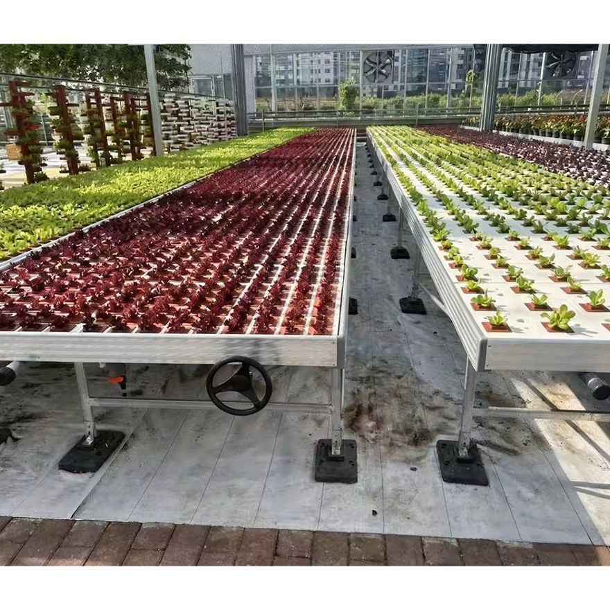 Seedling trays and growing channels inside a glass greenhouse