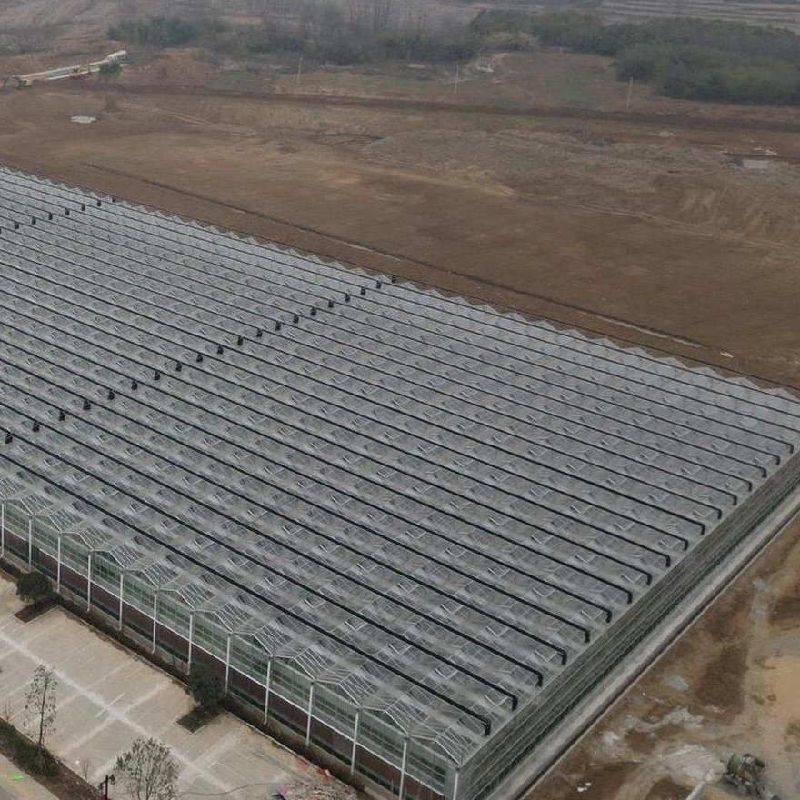 Aerial view of glass greenhouse frames set out in regular bays
