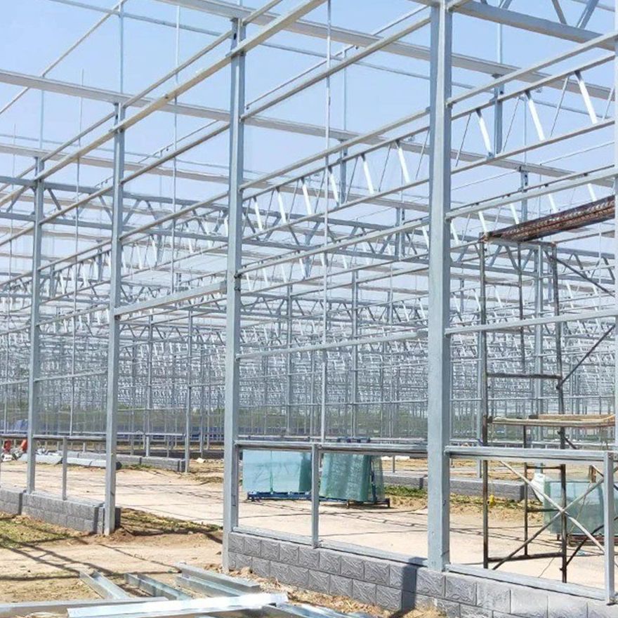 Bare galvanized steel columns and glazing bars of a glass greenhouse