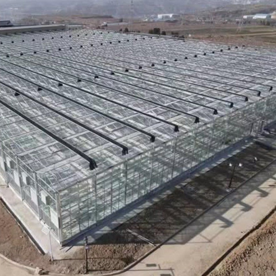 China Made Tempered Glass Research Greenhouse Kit for Plant Growth