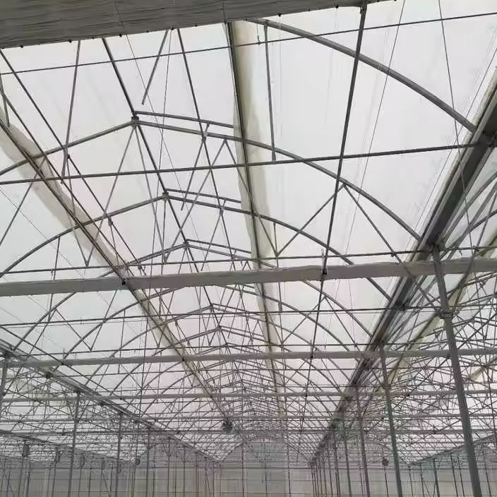 Roof trusses and purlins seen from below inside a gothic arch house