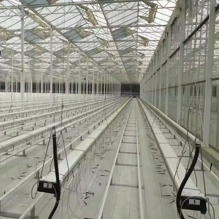 Seedling trays laid out on the floor of a gothic arch greenhouse