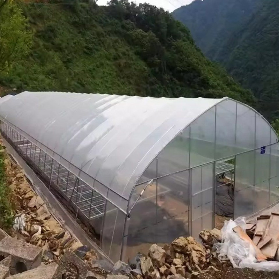 Gothic arch greenhouse with the film cover fixed over the frame