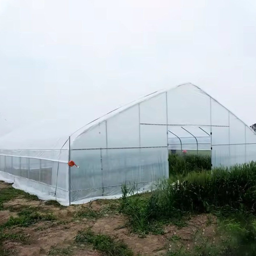 Film covered gothic arch greenhouse under an open sky
