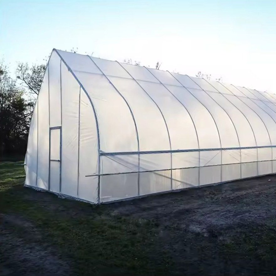 Single span gothic greenhouse standing on sloping ground