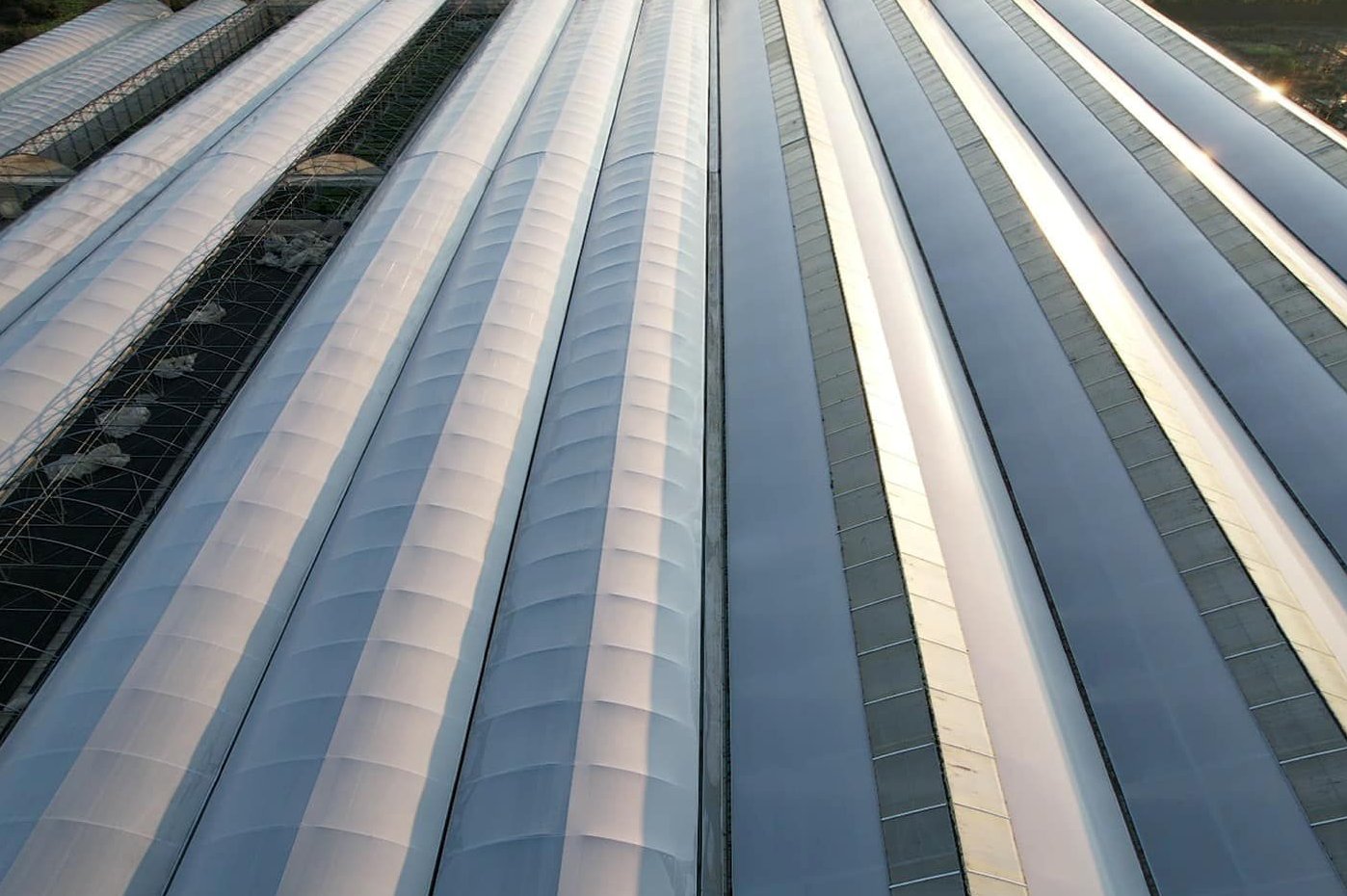 Long rows of film covered single span greenhouses seen from above