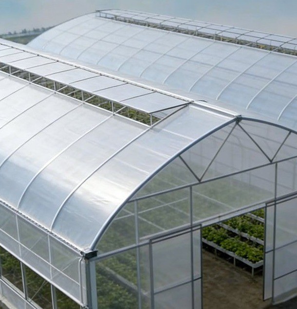 Gothic arch greenhouse with the film cover fixed over the steel hoops
