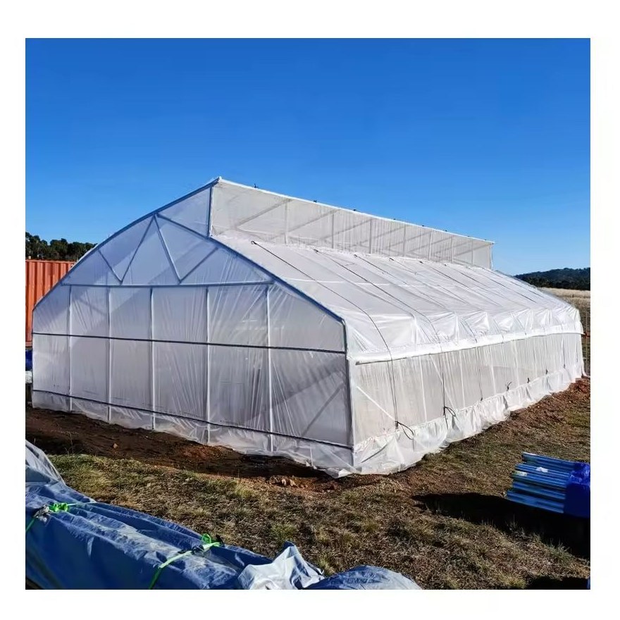 Film covered tunnel greenhouse on an open site under a clear sky