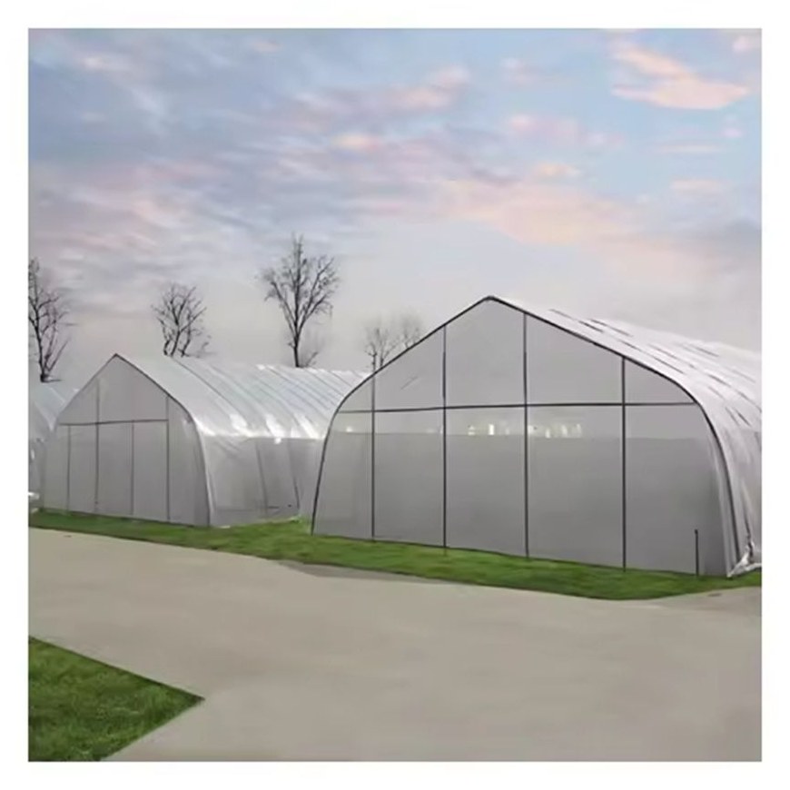 Gothic arch film greenhouse with the cover fixed over the steel frame