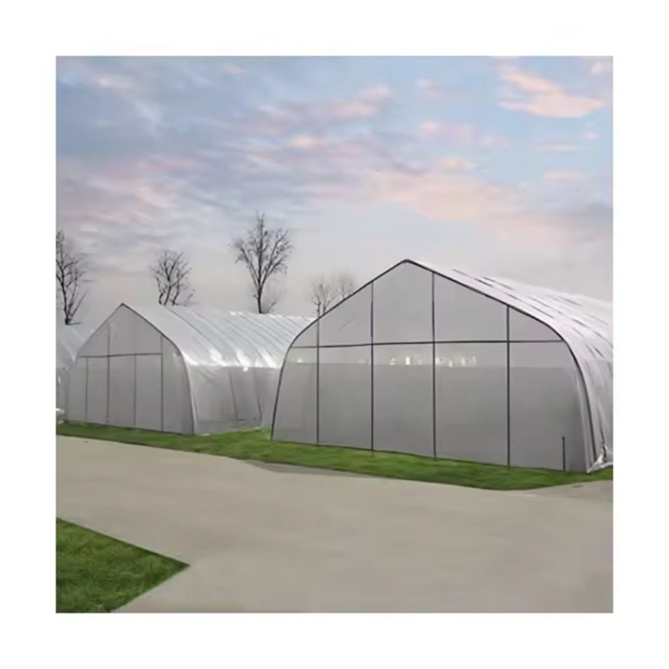 Gothic Multi Span Poly Film Greenhouse for Tomatoes and Vegetables