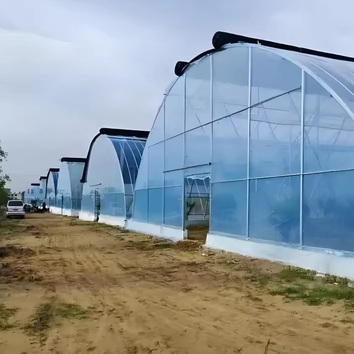 Row of large gothic arch greenhouses covered with PC sheet panels