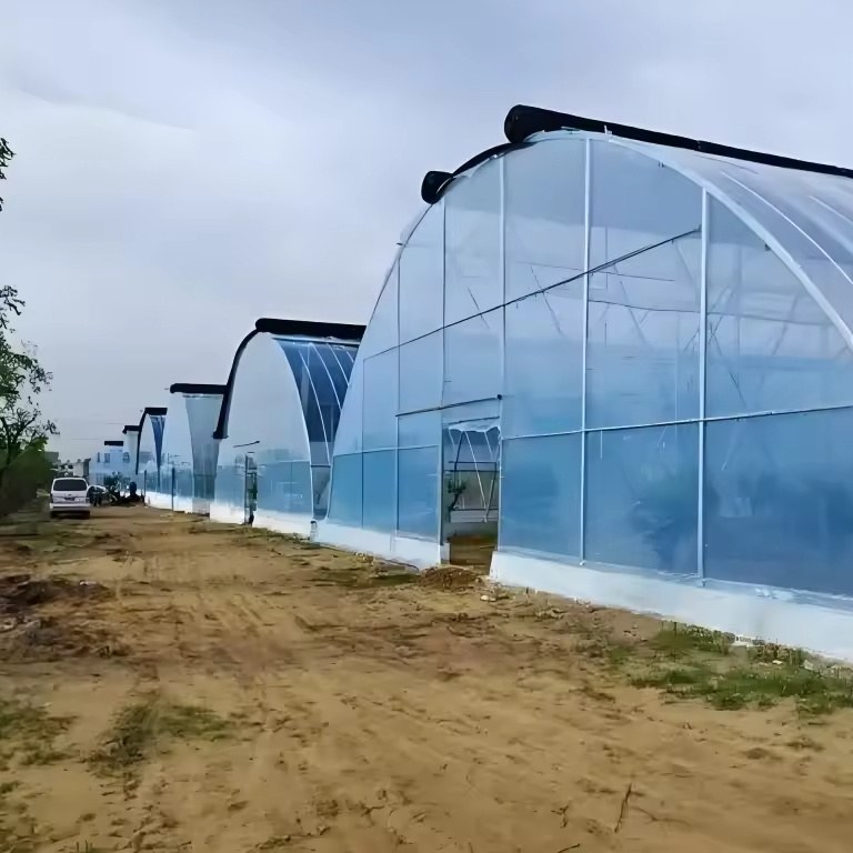 Large Gothic Structure Greenhouse with PC Sheet or Film Cover for Farms